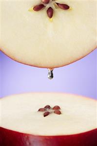 Drop of Apple Juice Dripping From an Apple Slice onto an Apple Slice