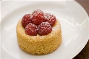 Small Raspberry Tartlet with Powdered Sugar