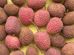 Many Lychees