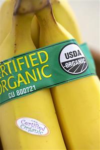 Bunch of Bananas with an Organic Label