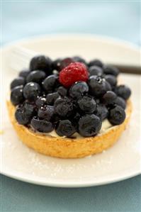 Blueberry Tartlet