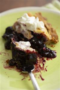 Blueberry Pie on a Fork and Plate; Close Up