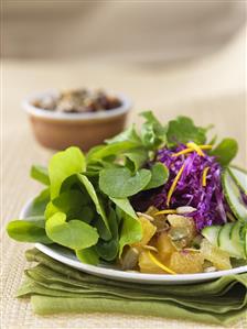 Green salad with red cabbage and grapefruit. Prohibido su uso en portada de libro hasta julio 2014