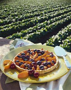 A Cherry and Apricot Tart with View