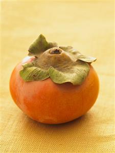 A Single Persimmon