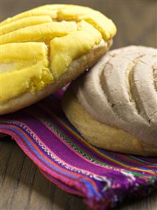 Vanilla and Chocolate Conchas