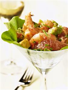 Shrimp, Avocado and Grapefruit Salad in Martini Glass