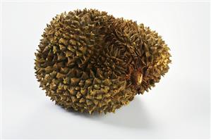 Whole Durian Fruit on White