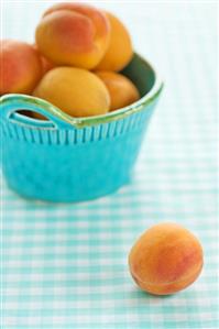 Apricot with a Bowl of Apricots on Blue Checked Table