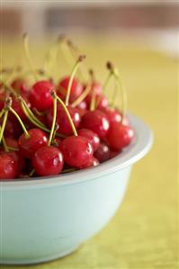 Blue Bowl of Cherries