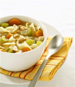 Bowl of Chicken Noodle Soup