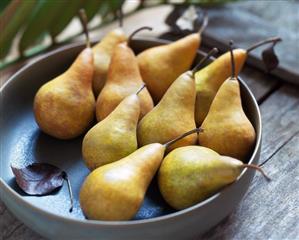 Bowl of Pears