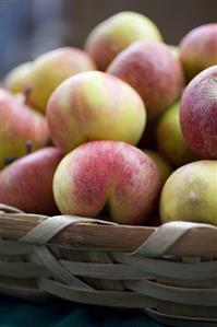 Basket of Apples