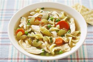 Bowl of Chicken Noodle Soup