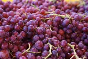 Bunches of Red Grapes