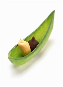 Peanut and Chocolate Chip in Pea Pod