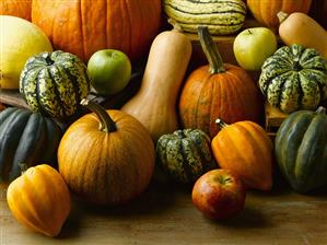 Autumn Still Life with Pumpkins, Squash and Apples