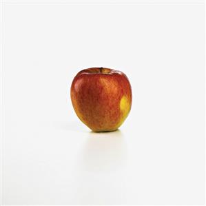 A Fuji Apple