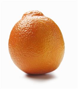 A Single Orange on White Background