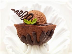 Chocolate Mousse on Chocolate Cake with Mint Garnish