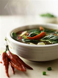 Bowl of Spicy Asian Style Soup