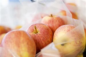 Apples in Plastic Bags