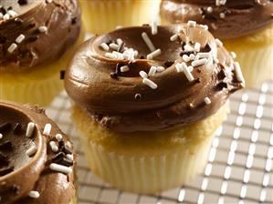 Vanilla Cupcakes with Chocolate Frosting and Sprinkles