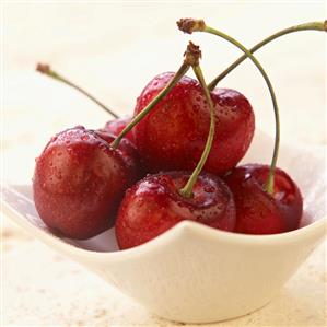 Wet Cherries in a Small Bowl