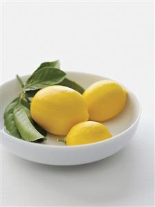 Bowl of Three Different Sized Lemons