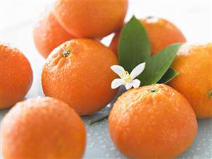 Many Oranges with Blossom