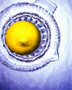 A Lemon Half on a Juicer