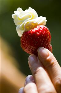 Woman strawberry chantilly cream  