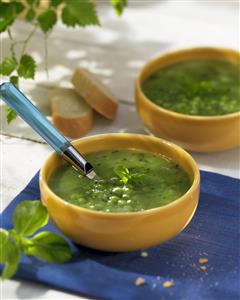 Sopa de guisantes a la albahaca. Receta disponible.
Pea Soup with Sweet Basil.
