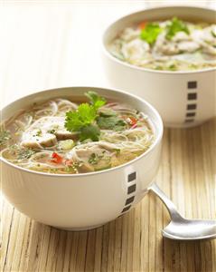 Sopa de fideos chinos con pollo. Cocina oriental. Receta disponible.
 Chinese Noodle Soup with Chicken.  Asian Cuisine.