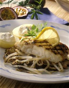 Merluza a la parrilla con brotes de soja. Receta disponible TR.
 Grilled Hake with Soya Sprouts.
