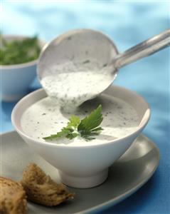 Cocina vegetariana. Crema fria a las finas hierbas. Receta disponible.
Vegetarian Cuisine.  Fine Herbs Cold Cream.