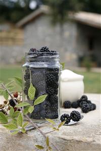 Moras en un tarro de cristal y azucarero.
