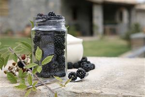 Moras en un tarro de cristal y azucarero. 