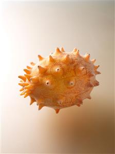 Horned melon