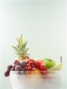 Fruit in ice bowl