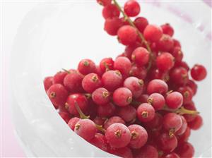 Frozen redcurrants