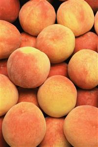 Florida gold peaches