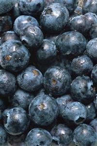 Blueberries