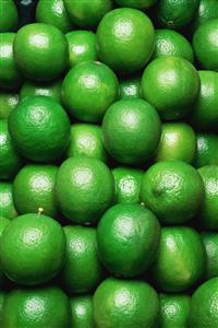 Limes