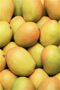 Mangoes