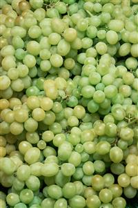 White grapes