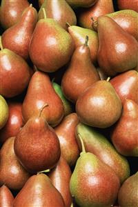 Corella pears