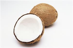 Coconut