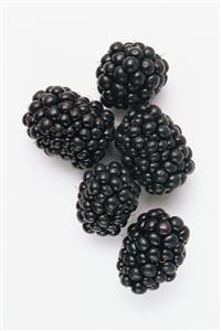 Blackberries