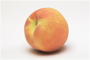 Florida gold peach